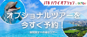 今すぐ、オプショナルツアーを予約!