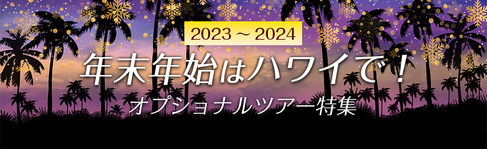 年末年始のハワイは特別イベントが目白押し。カウントダウンパーティや